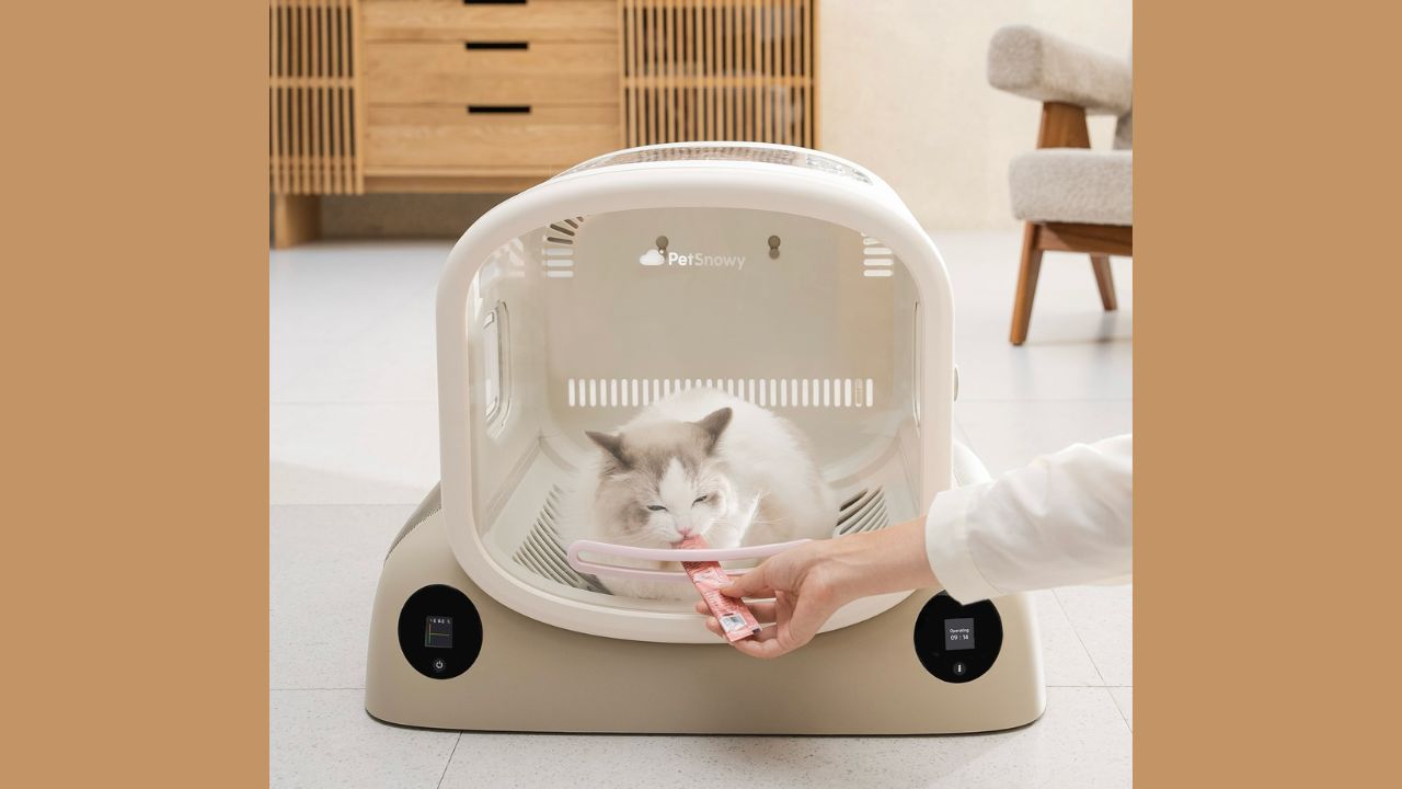 Bath Time Battles: How a Dog Dryer Box Changed Our Grooming Game